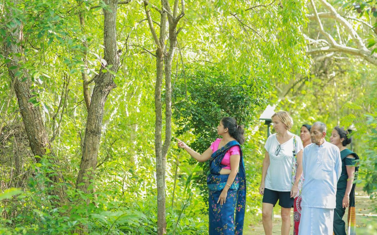 Nature Lanka Ayurveda Resort Tangalle Eksteriør bilde