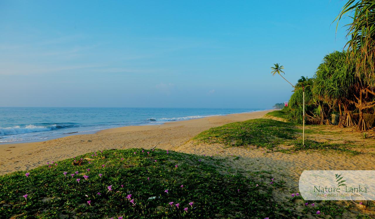 Nature Lanka Ayurveda Resort Tangalle Eksteriør bilde