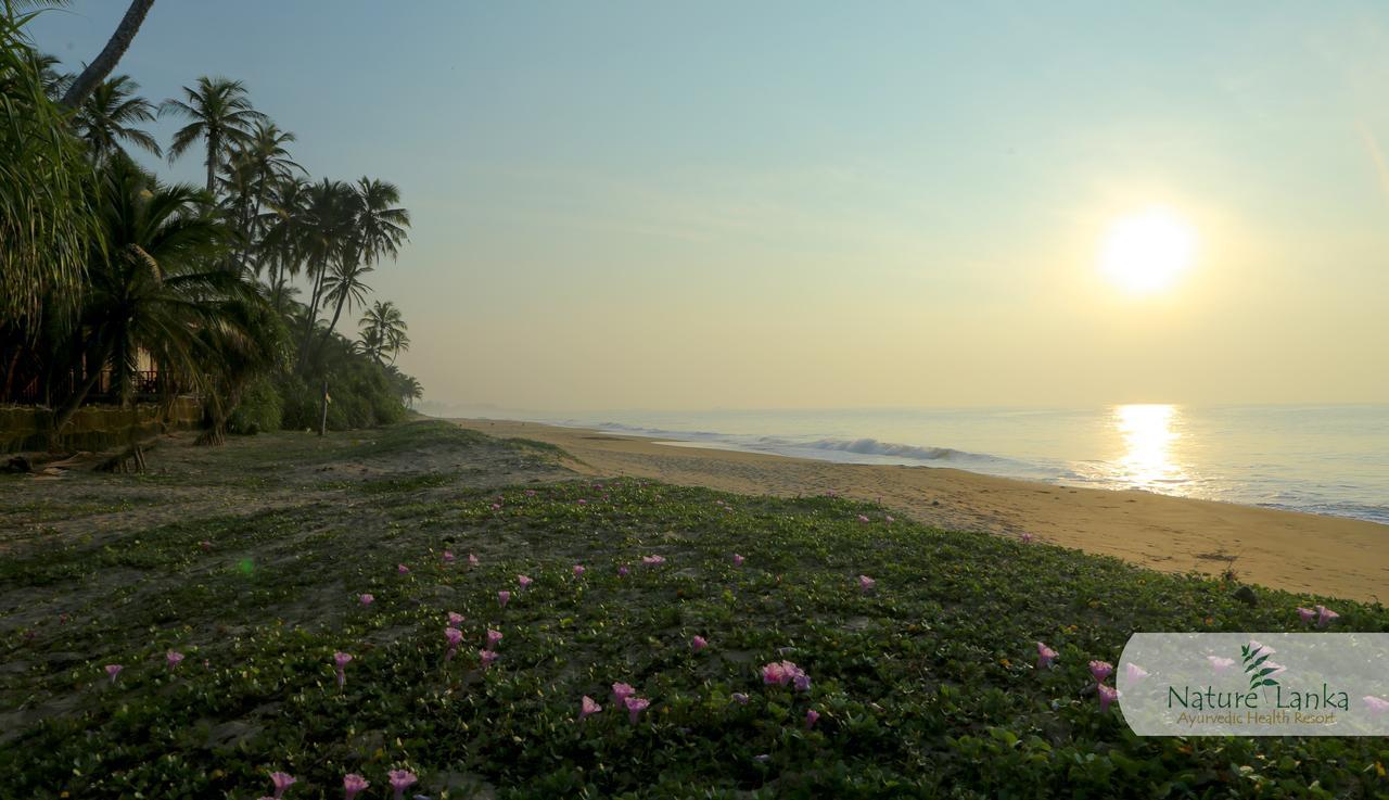 Nature Lanka Ayurveda Resort Tangalle Eksteriør bilde