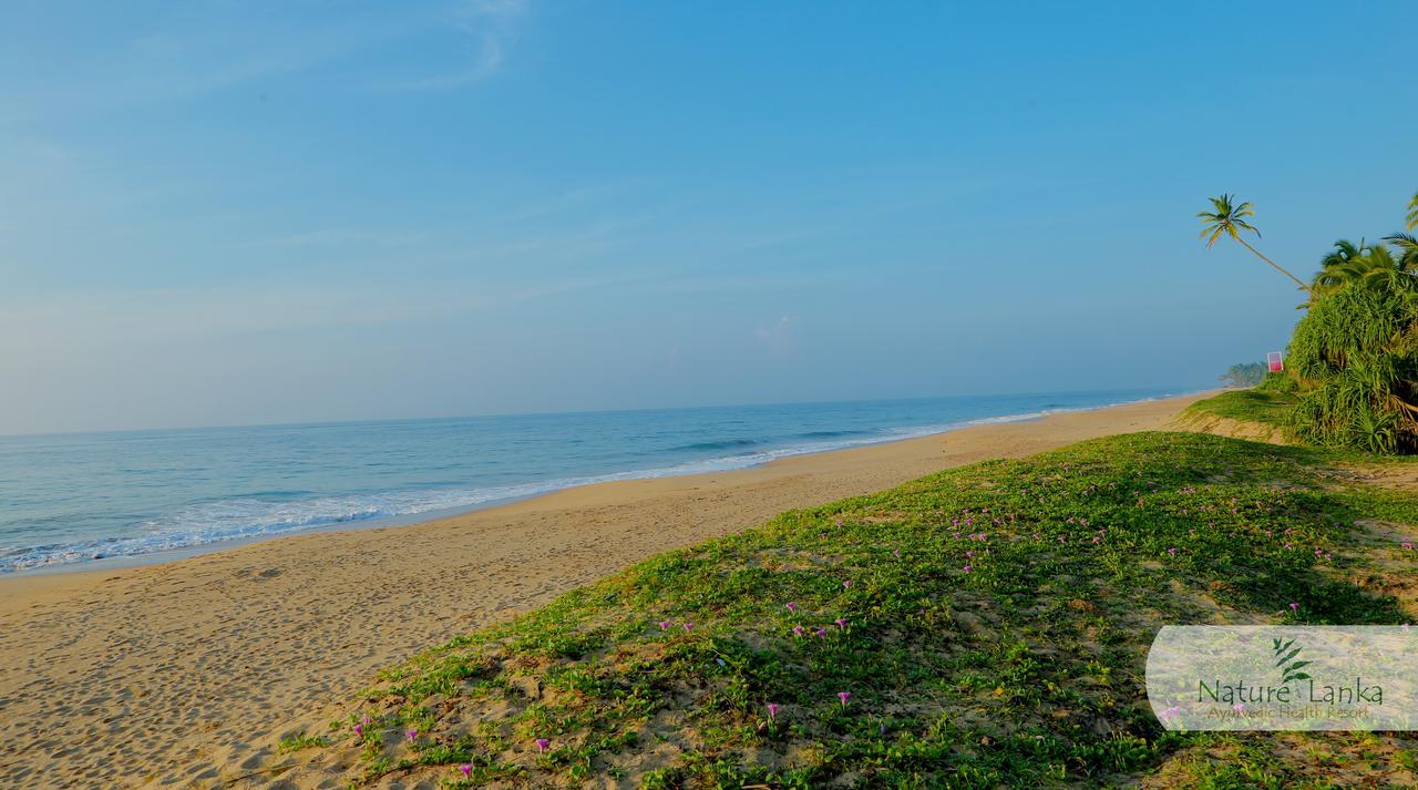 Nature Lanka Ayurveda Resort Tangalle Eksteriør bilde